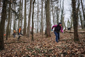 Dobrovolnická brigáda v lese U Daliborky 8. 2. 2025 v Nepomuku