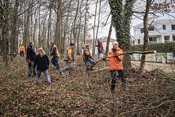 Dobrovolnická brigáda v lese U Daliborky 8. 2. 2025 v Nepomuku