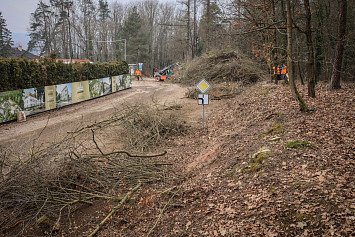 Dobrovolnická brigáda v lese U Daliborky 8. 2. 2025 v Nepomuku